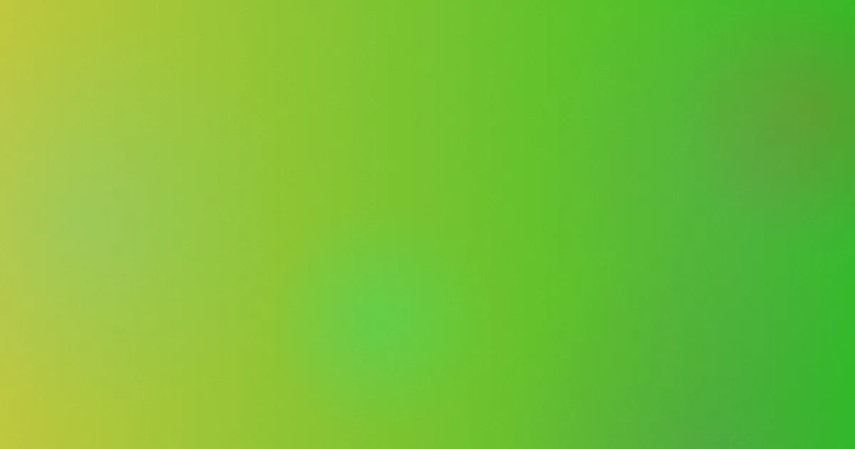 绝不后悔对比：一次选择复盘